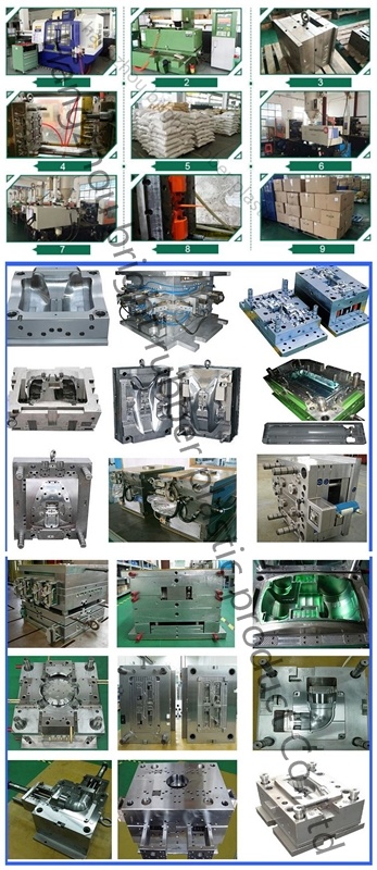 高品质定制的不同颜色抛光塑料夹